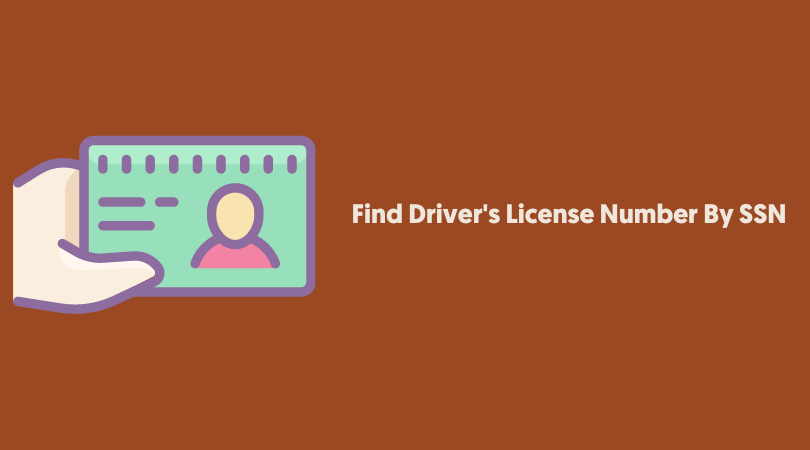 Find Driver License Number By Ssn