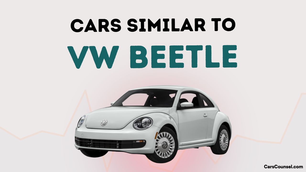 Cars Similar To Vw Beetle