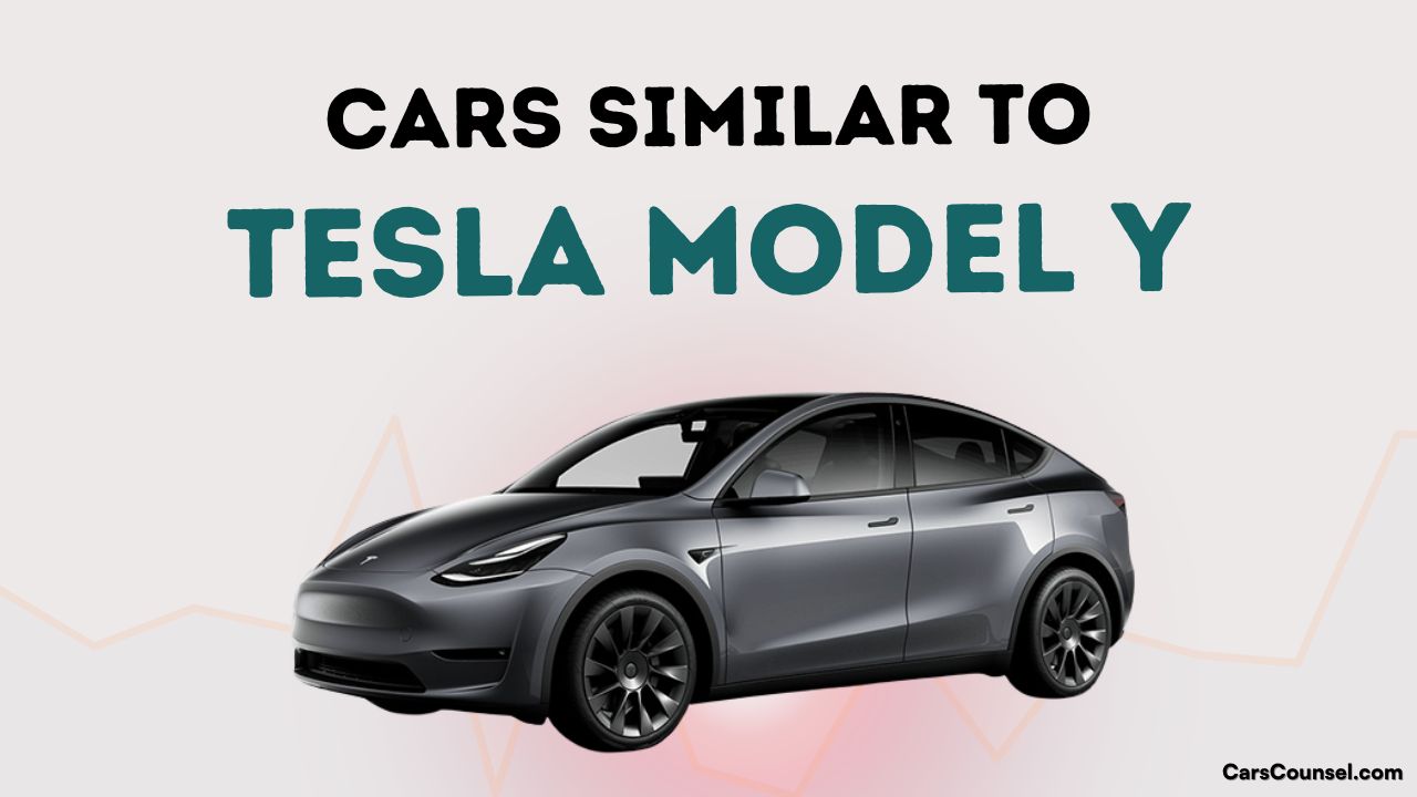 Cars Similar To Tesla Model Y