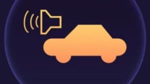 Pedestrian Horn
