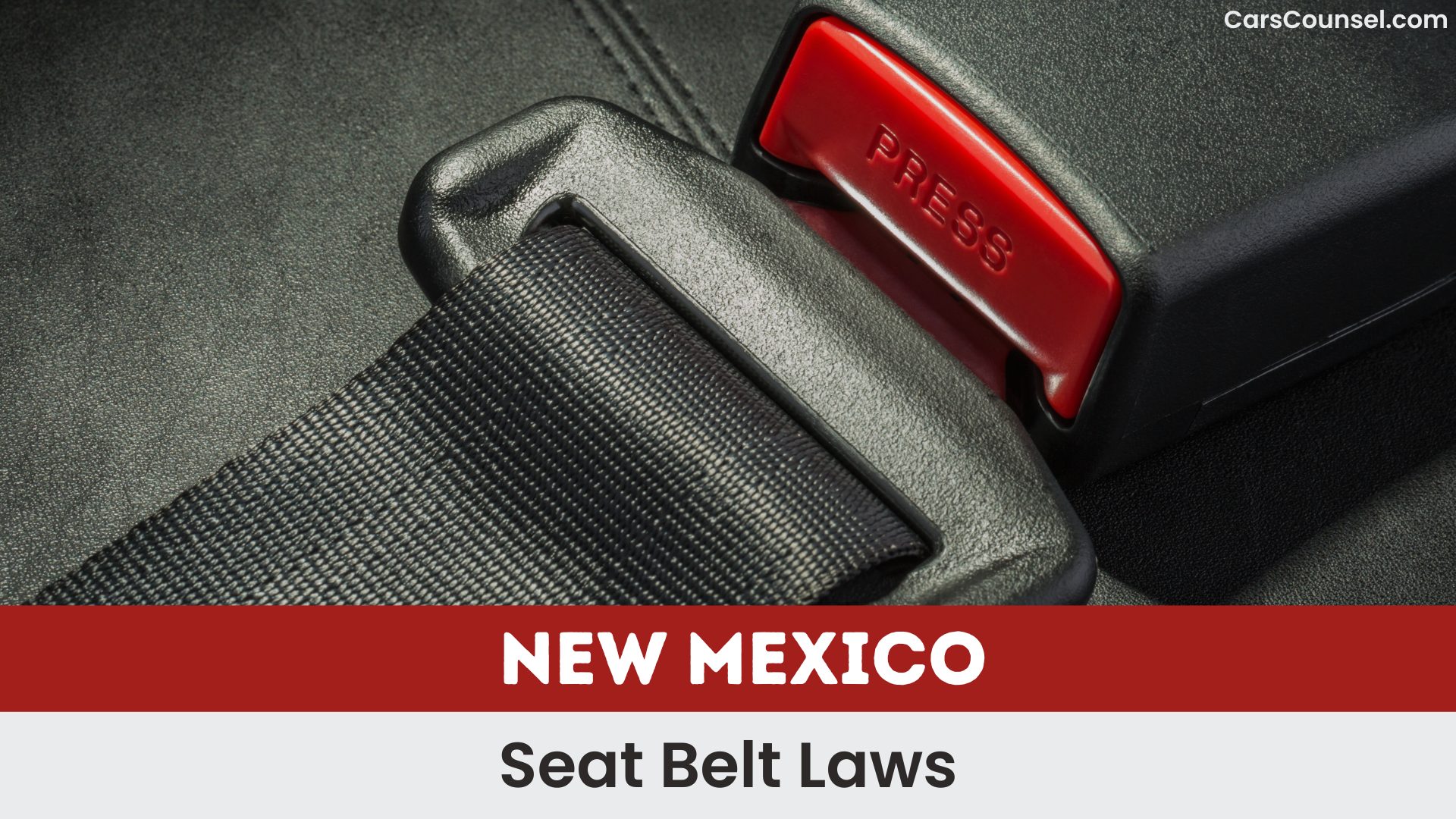 New Mexico Seat Belt Laws