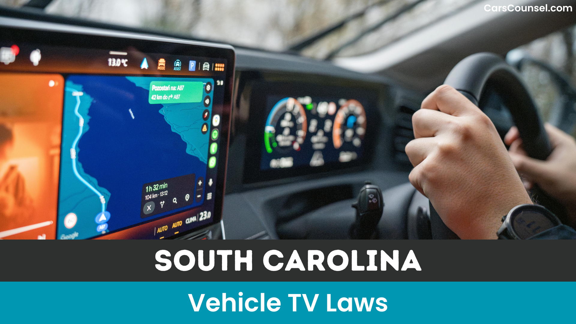 South Carolina Vehicle TV Laws